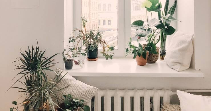 4 Ways to Bring More Natural Light Into Your Home