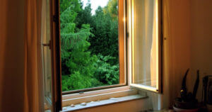 Window View