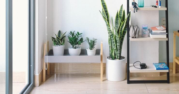 Ideas To Fill Empty Corners With Style