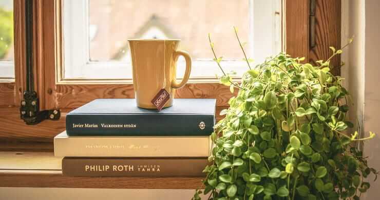 Small Ways to Create a Nature-Inspired Refuge Indoors