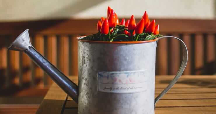 Spring Decorating Trends to Make Your Home Interior Pop